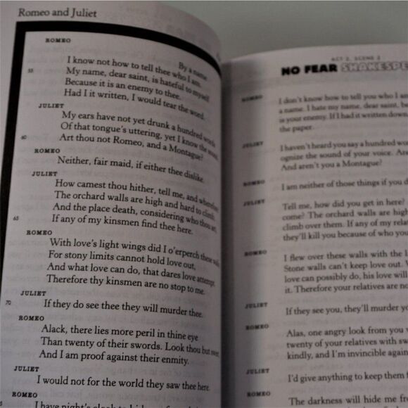No Fear Shakespeare Romeo and Juliet by William Shakespeare and SparkNotes 2003 - Picture 7 of 9